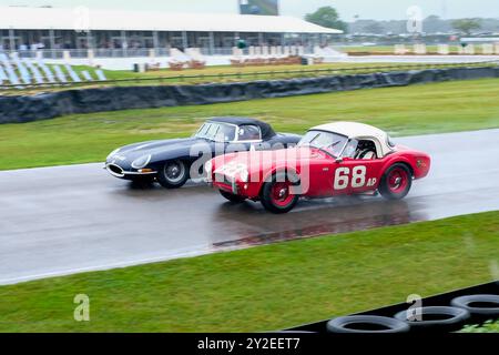 Le gare sportive degli anni '60 sfidano la pioggia al Goodwood Revival 2024. Foto Stock