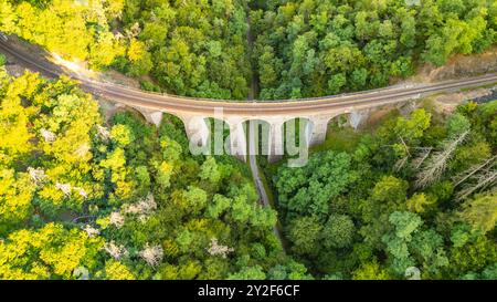 Il ponte ferroviario in pietra di Zampach si estende su una lussureggiante foresta in Cechia, che mostra la sua bellezza architettonica in mezzo a una vegetazione vivace. Foto Stock