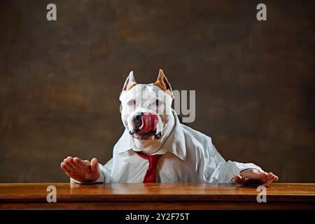Cane di razza bianca con abbigliamento formale, camicia e cravatta, seduta alla scrivania, leccare le labbra e gesti con le mani. Calma Foto Stock