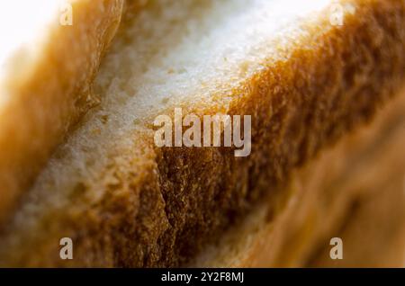 Primo piano di pane fresco con spazio personalizzabile per il testo. Copia spazio e concetto di cibo sano. Foto Stock