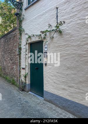 Bruges, Fiandre, Belgio - 25 giugno 2024: Eekhoutpoort 20 facciata bianca, appena dipinta con la pianta verde per arrampicate Foto Stock