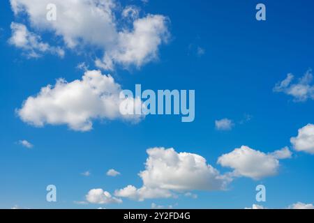 Nuvole di cumulus bianche e grigie chiare di basso livello sullo sfondo di un cielo blu Foto Stock