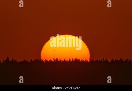 Goditi un maestoso tramonto su un sereno orizzonte della foresta mentre la natura ti svela la la sua bellezza Foto Stock