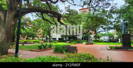 Famoso Very Old Crooked Branch su un albero di quercia nel centro storico di Savannah, Georgia. Creato il 28 agosto 2024 Foto Stock