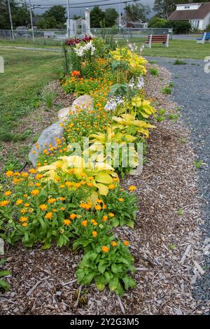 Fiori estivi al parco comunale Cranford Family a New Harbour, Newfoundland & Labrador, Canada Foto Stock