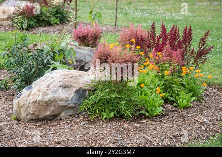 Fiori estivi al parco comunale Cranford Family a New Harbour, Newfoundland & Labrador, Canada Foto Stock