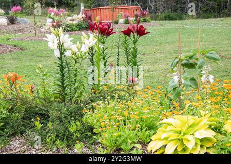 Ponte e fiori estivi al parco comunale Cranford Family a New Harbour, Newfoundland & Labrador, Canada Foto Stock