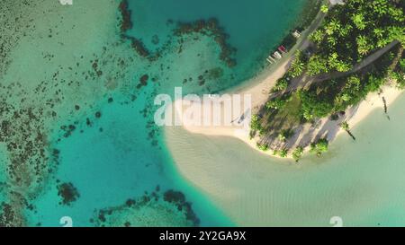 Vista aerea dall'alto verso il basso, piccola isola tropicale con palme e spiaggia di sabbia bianca circondata da acque turchesi dell'oceano e barriera corallina. Paradiso naturale remoto, esotici viaggi estivi di lusso. Colpo di drone Foto Stock