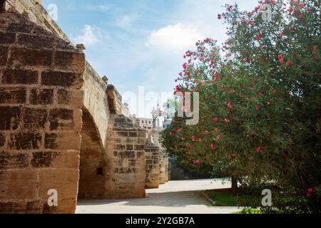 Ponte sul Jardin del Turia, il parco di Valencia dal vecchio letto del fiume Foto Stock