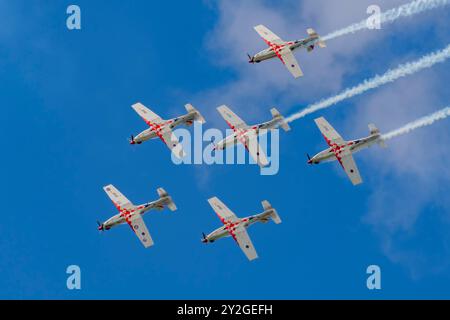 Wings of Storm all'Air Power Air Show 2024 di Zeltweg, Austria Foto Stock