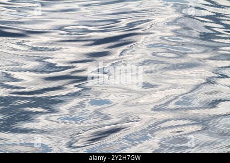 Riflessioni sulla scia dal National Geographic Sea Bird nel sud-est dell'Alaska, Stati Uniti. Foto Stock