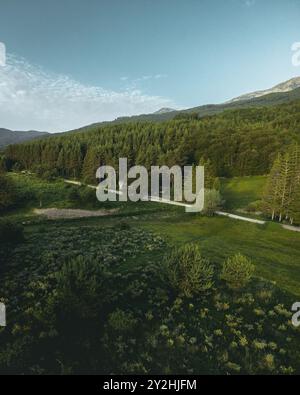 Bellissimo scatto da un drone di una foresta di pini verde con un bellissimo cielo blu e alcune nuvole e una grande montagna. Prati verdi e foglie. Foto Stock