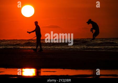 Isola di Palms, Stati Uniti. 10 settembre 2024. Un cane sagomato dall'alba salta in aria per prendere una palla lungo la spiaggia, 10 settembre 2024 a Isle of Palms, South Carolina. Crediti: Richard Ellis/Richard Ellis/Alamy Live News Foto Stock