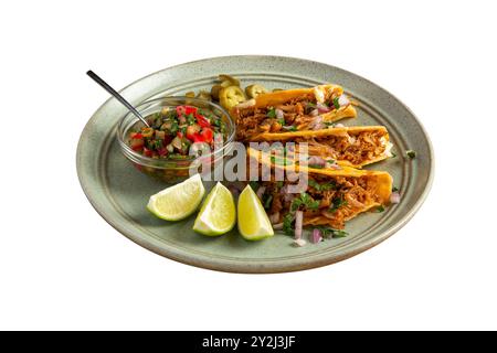 Deliziosi tacos ripieni di carne serviti su un piatto. Isolato su sfondo bianco. Profondità di campo completa. Foto Stock