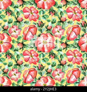 Motivo acquerello senza cuciture con fiori di rosa selvatica in corallo disegnati a mano per la stampa e il design tessile. fiori e boccioli scarlatti, foglie verdi di rosehip Foto Stock