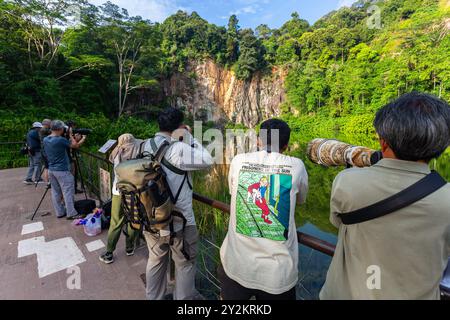 Un grande gruppo di fotografi ha trascorso lunghe ore a scattare foto alla fauna selvatica della caccia di aquile di mare con la pancia bianca in azione alla cava. Singapore. Foto Stock