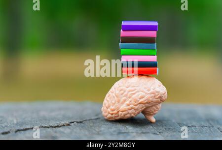 Figurina anatomica del cervello umano che bilancia una pila di libri colorati ambientati su un ceppo nel parco, che rappresentano il divertimento e l'importanza della conoscenza e della e Foto Stock