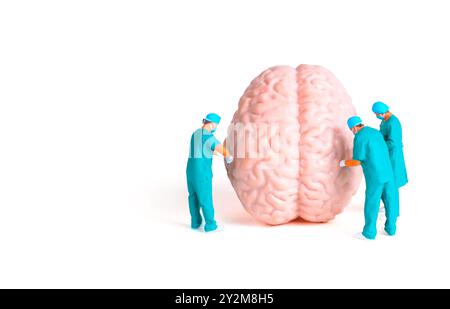 Tre chirurghi in miniatura si impegnarono nell'esame di un grande modello cerebrale isolato sul bianco, sottolineando neurologia e lavoro di squadra medico. Foto Stock