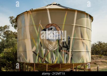 Mallee EMU Wren Mobile Silo Art di Jimmy DVate, Woomelang, Victoria, Australia Foto Stock