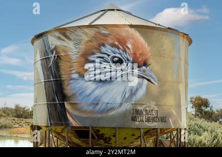 Mallee EMU Wren Mobile Silo Art di Jimmy DVate, Woomelang, Victoria, Australia Foto Stock