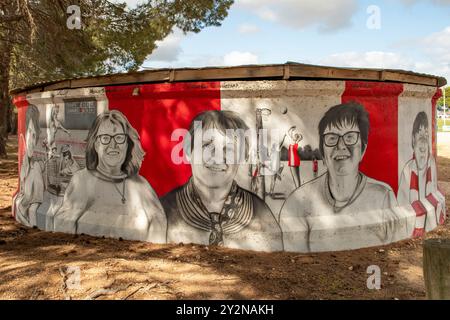 Local Sports Players Water Tank Art di Kyle Armstrong, Two Wells, Australia meridionale, Australia Foto Stock