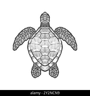 contorno tartaruga marina isolato su sfondo bianco, illustrazione vettoriale disegno a mano Illustrazione Vettoriale