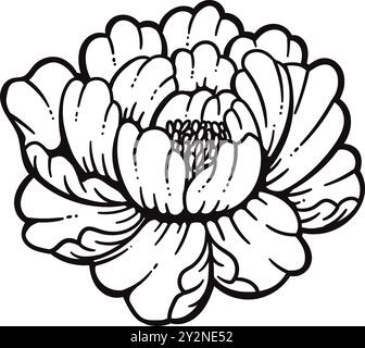 Illustrazione botanica disegnata a mano con il fiore di Dahlia Illustrazione Vettoriale