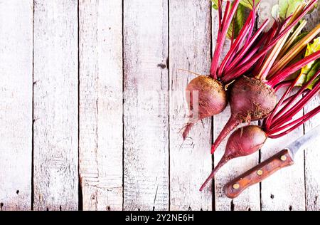 Grappolo di organico fresco barbabietole su legno tavolo rustico Foto Stock