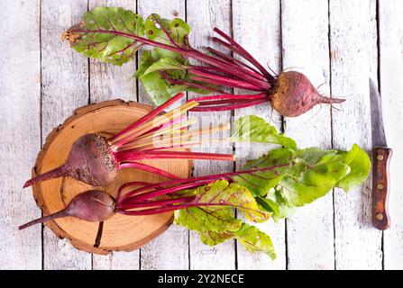 Grappolo di organico fresco barbabietole su legno tavolo rustico Foto Stock