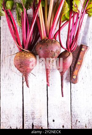 Grappolo di organico fresco barbabietole su legno tavolo rustico Foto Stock