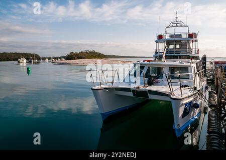 Barca per immersioni ormeggiata, Huskisson, NSW, Australia Foto Stock