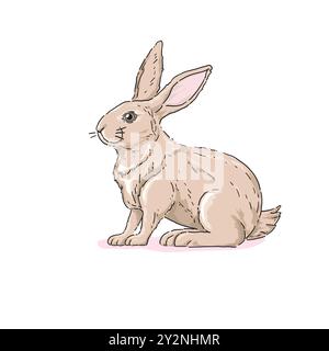 Illustrazione carina coniglio disegnata a mano, stile disegnato a mano, vettore isolato Illustrazione Vettoriale