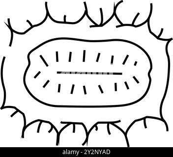 immagine vettoriale dell'icona della linea del cetriolo anguria Illustrazione Vettoriale