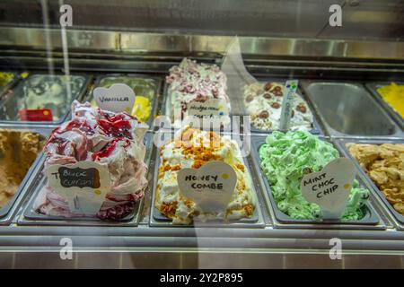 molti gusti di gelato gelato in vendita Foto Stock