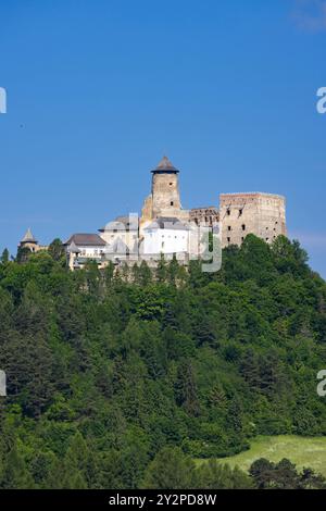 Castello di Stara Lubovna, regione di Presov, Slovacchia Foto Stock