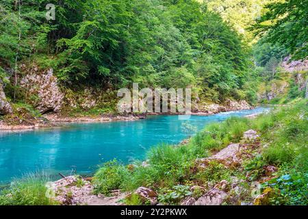 Costa e acqua verde del fiume Tara. Montenegro Foto Stock