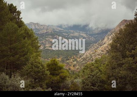 Un tranquillo paesaggio caratterizzato da una lussureggiante foresta verde che conduce a una catena montuosa rocciosa, parzialmente avvolto dalla nebbia Foto Stock