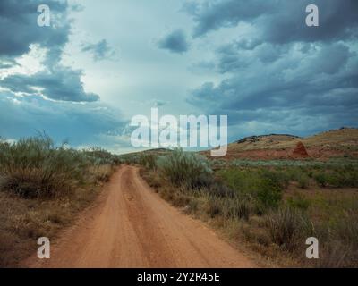 Un'isolata strada sterrata si snoda attraverso un paesaggio desertico sparso sotto un suggestivo cielo nuvoloso, evidenziando la bellezza tranquilla e selvaggia del terreno Foto Stock