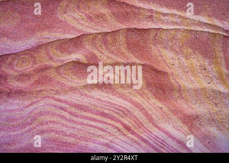Primo piano di un motivo di arenaria multicolore di Coyote Buttes in Arizona, che mostra l'arte astratta della natura nella pietra. Foto Stock