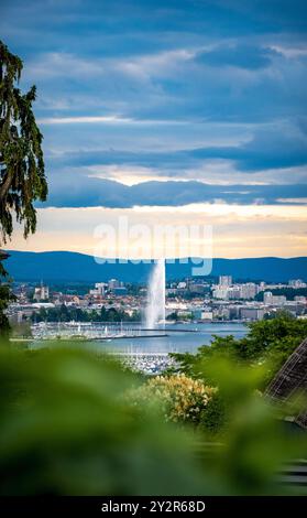 Foto accattivante di Ginevra con l'iconica fontana Jet d'Eau che scatta acqua in alto nel cielo, incorniciata da un fogliame vivace, sotto una scenografica sk Foto Stock