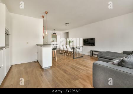 Un moderno soggiorno open space con cucina comunicante, caratterizzato da arredi minimalisti e pavimenti in legno duro. Foto Stock