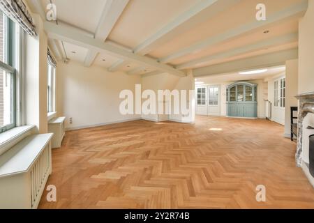 Un ampio e luminoso soggiorno con pavimento in parquet lucido e pareti bianche, caratterizzato da un caminetto classico e porte francesi dettagliate. Foto Stock