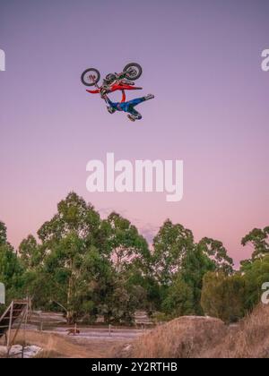 Un motociclista che esegue una acrobazia a mezz'aria al tramonto con alberi sullo sfondo. Foto Stock