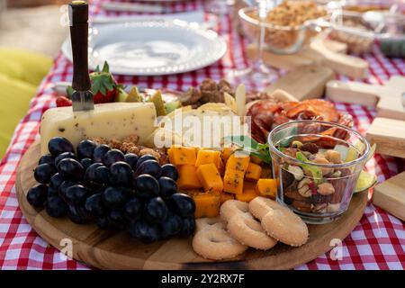 Un delizioso vassoio di formaggi con uva, noci e cracker su un tavolo da picnic con una tovaglia rossa a scacchi. Foto Stock