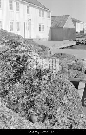 Corrente 48B-4-1971 : Zero metri sul livello del mare. Tregde, a pochi chilometri da Mandal, ha una funzione speciale come stazione di misurazione ufficiale per il livello dell'acqua in Norvegia. Una piccola sfera e un dispositivo di misurazione forniscono la base per il livello di altezza nelle nostre mappe, triangolazioni e triangolazioni municipali. L'inerzia è l'area più stabile ed è adatta come "punto zero". Oslo sale, ad esempio 4 millimetri all'anno. Qui abbiamo il famoso proiettile, o bullone. Non notevole sì, ma importante comunque, forse una piccola attrazione turistica? Foto: Sverre A. Børretzen / Aktuell / NTB ***FOTO NO Foto Stock