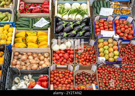 Varieta' colorata di pomodori e altre verdure viste in un mercato in Italia Foto Stock