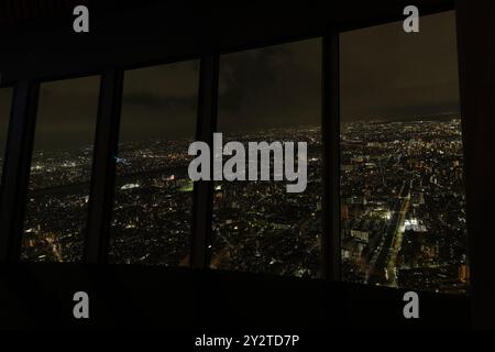 Tokyo Skytree, Tokyo, Giappone. Foto Stock