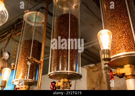 Contenitori cilindrici verticali riempiti con chicchi di caffè tostati in un'impostazione di caffè. Apparecchiature industriali per la preparazione del caffè. Foto Stock