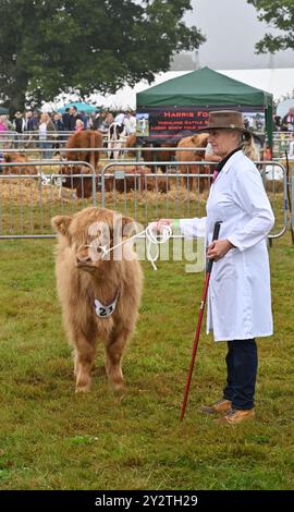 Il bestiame delle Highland giudica al Moreton in Marsh Show del 2024, Gloucestershire Foto Stock