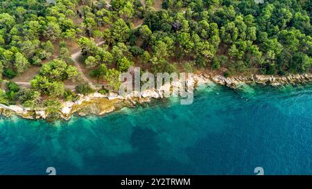 Porec, Istria, Croazia - 26 agosto 2024: La pittoresca costa di Parenzo, Croazia, mostra un mare blu turchese e fitte foreste di pini lungo le coste rocciose. Vista aerea *** Die malerische Küste von Porec, Kroatien, zeigt türkisblaues Meer und dichte Pinienwälder entlang der felsigen Ufer. Luftaufnahme Foto Stock